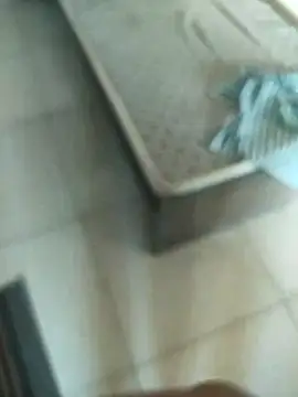 Snapshot of Telugus chatting on 11/07/25, 07:08 Telugus online show from 11/07/25, 07:08