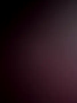 WildNour online show from 11/18/25, 06:51