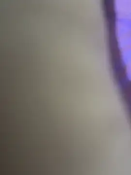 WildNour online show from 04/20/26, 12:13