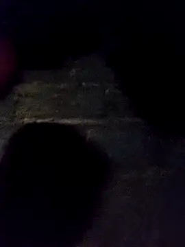 bella-la online show from 11/30/25, 11:25