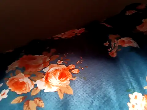 bigtelugubhama online show from 02/12/26, 05:24