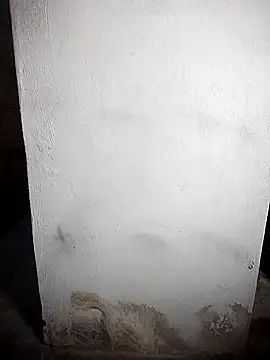 BD 228 online show from 02/19/26, 12:06