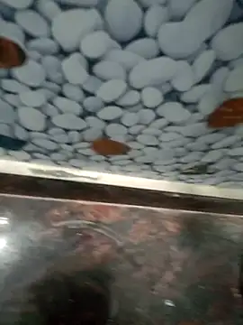 Pandey0012 online show from 03/12/26, 11:49