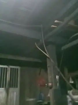 matbiec- online show from 11/19/25, 10:32