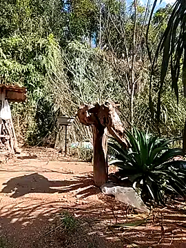 matbiec- online show from 12/22/25, 05:15