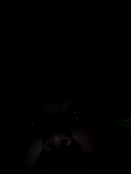 Nul-chal online show from 01/05/26, 10:24