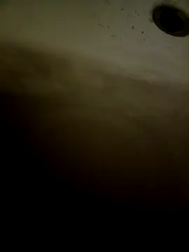 pino870 online show from 02/11/26, 12:32