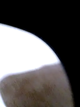 pino870 online show from 02/20/26, 12:29