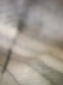 Pallu Asha online show from 03/01/26, 04:25