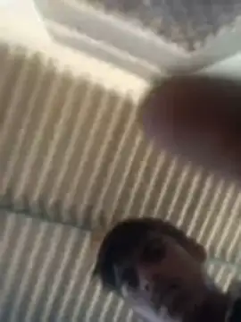 Pallu Asha online show from 03/02/26, 07:48