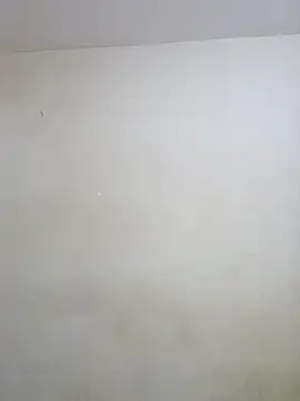 negramenta online show from 01/15/26, 11:48