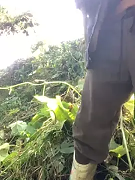 bi-bo123 online show from 01/12/26, 03:12