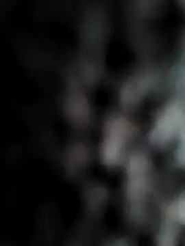 cum daily1 online show from 04/21/26, 08:09