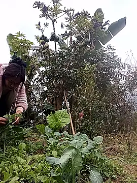 Alice-567 online show from 01/11/26, 09:25