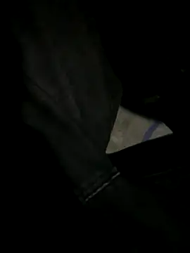 Snapshot of sclennart chatting on 11/01/25, 03:58 sclennart online show from 11/01/25, 03:58