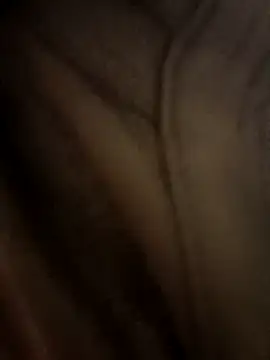 parth08raj online show from 06/08/26, 12:14