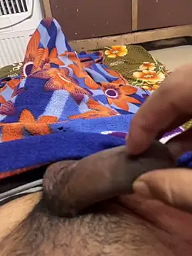 porn ritik online show from 11/29/25, 06:33