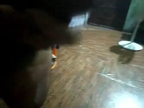 BdTinyDick online show from 11/11/25, 06:19