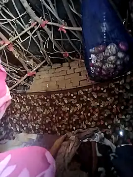 Jooli cuty online show from 02/21/26, 04:13