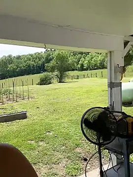 thickfarmtwat online show from 05/31/26, 06:09