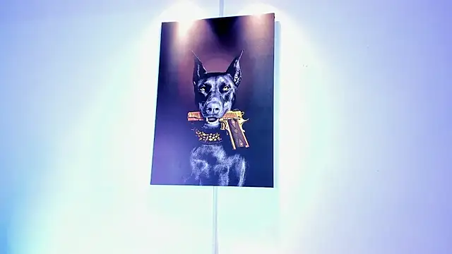 stiven 24cm online show from 11/15/25, 08:44