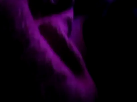 akram306 online show from 11/14/25, 11:24