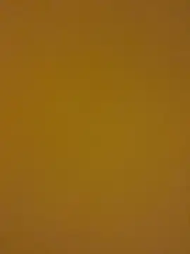 kentojp online show from 11/14/25, 01:43