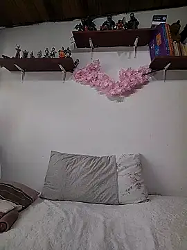 salomehill1 online show from 12/17/25, 08:04