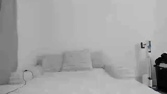 zaylanez online show from 11/08/25, 06:35