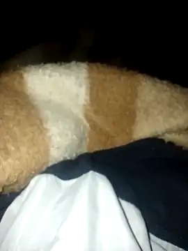 Snapshot of Azo3zgju chatting on 11/23/25, 02:33 Azo3zgju online show from 11/23/25, 02:33