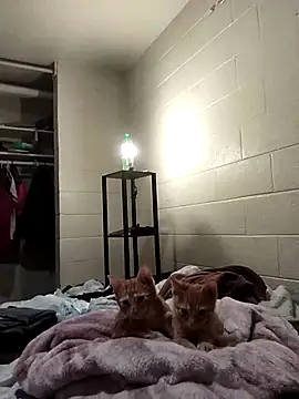 SITHANDRAH online show from 12/02/25, 11:45