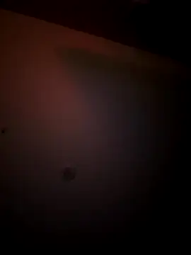 mixedswanger online show from 11/24/25, 07:19