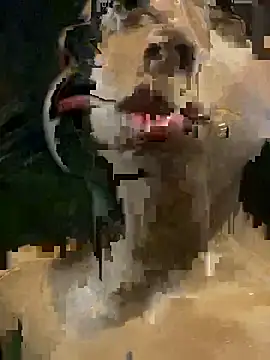 mara rosseX online show from 11/09/25, 06:33