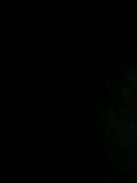 NIGHTFOX-89 online show from 11/08/25, 05:40