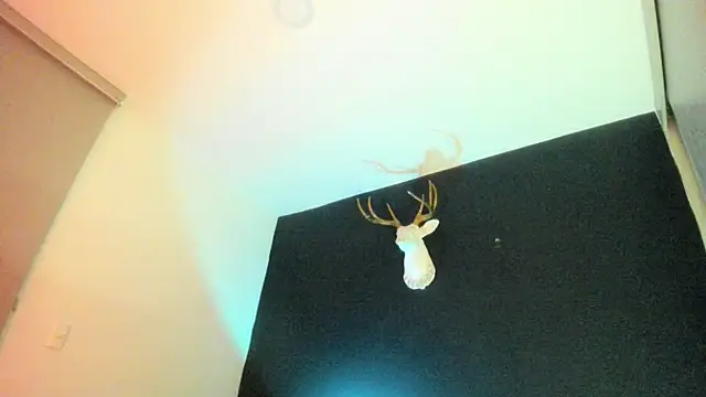 Zeus Jeff online show from 02/19/26, 01:34