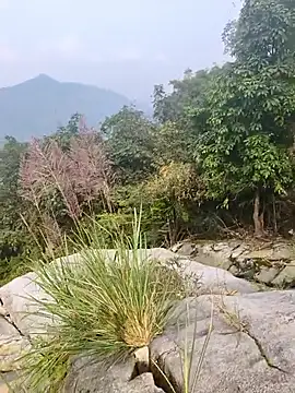 Lynly k2 online show from 12/21/25, 05:25