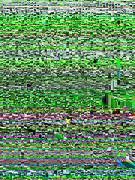 Kobhaktabhay online show from 11/08/25, 04:56