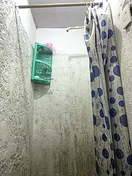 Dina moss online show from 11/13/25, 04:28