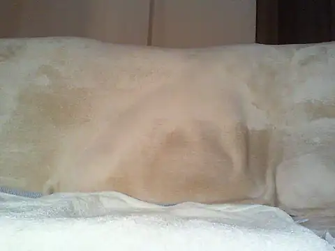 Cumlover5534 online show from 03/02/26, 09:38