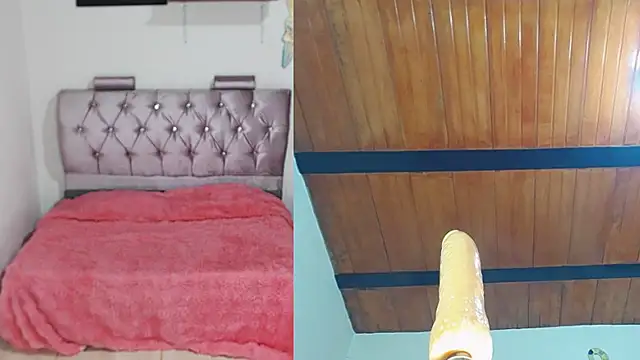 maia funny online show from 11/28/25, 02:58