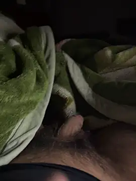 Snapshot of VavEBig chatting on 11/11/25, 11:27 VavEBig online show from 11/11/25, 11:27