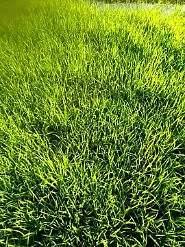 blonde blg online show from 04/12/26, 10:09