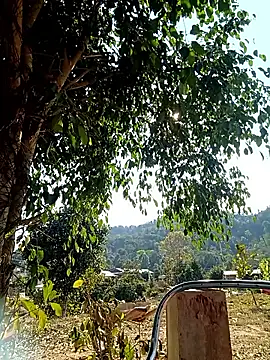 -Chua-90 online show from 02/20/26, 08:05