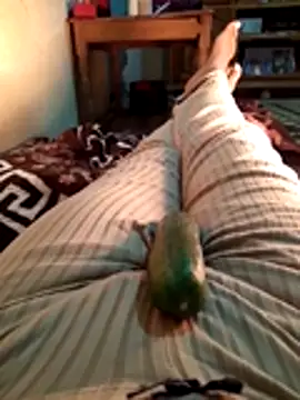 Snapshot of Tota_sexi chatting on 11/28/25, 10:51 Tota sexi online show from 11/28/25, 10:51