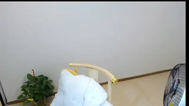 Shaurk online show from 02/23/26, 02:53