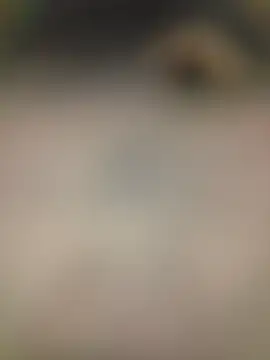 piggylatino online show from 02/02/26, 06:01