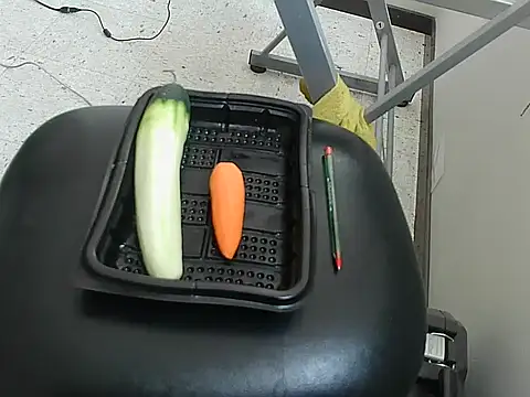 ivana latina online show from 12/19/25, 07:10