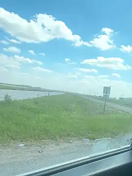 miatate online show from 03/21/26, 08:01