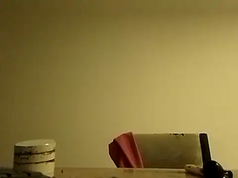 Snapshot of roddyron1n chatting on 11/13/25, 03:16 roddyron1n online show from 11/13/25, 03:16