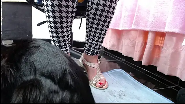 sasha sexy1 online show from 05/31/26, 08:54
